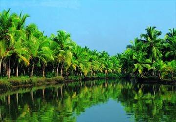 Kerala Tour Packages