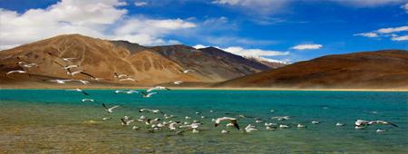 Leh Ladakh Tour Packages